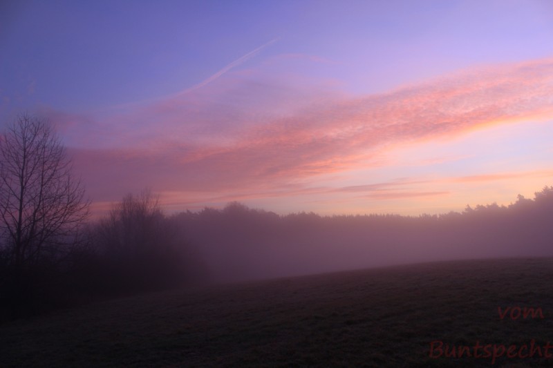 Bildla Nummära 026.jpg