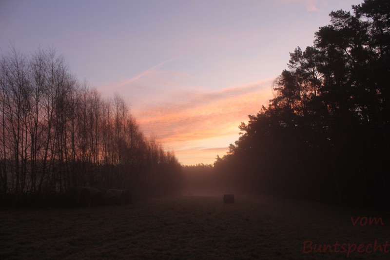 Bildla Nummära 027.jpg