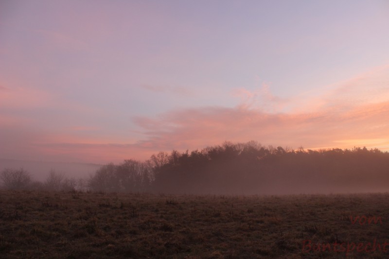 Bildla Nummära 028.jpg