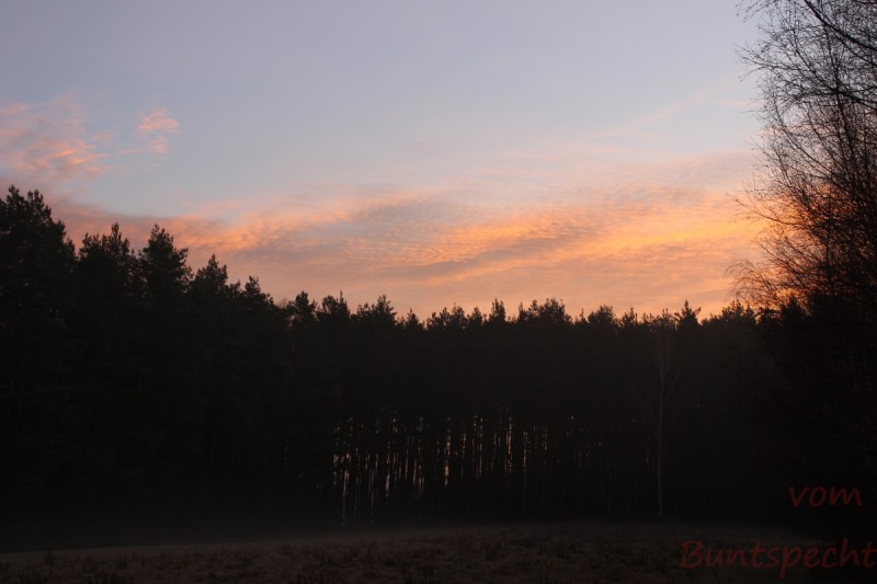 Bildla Nummära 030.jpg