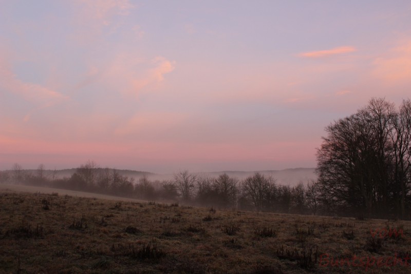 Bildla Nummära 031.jpg