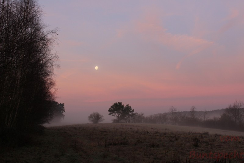 Bildla Nummära 032.jpg