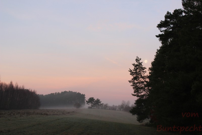 Bildla Nummära 035.jpg