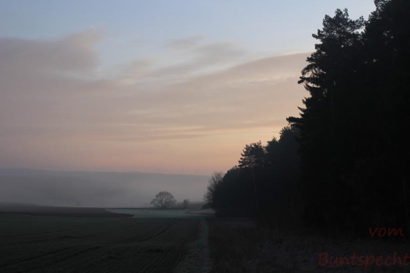 Bildla Nummära 036.jpg