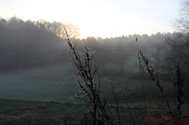 Bildla Nummära 037.jpg