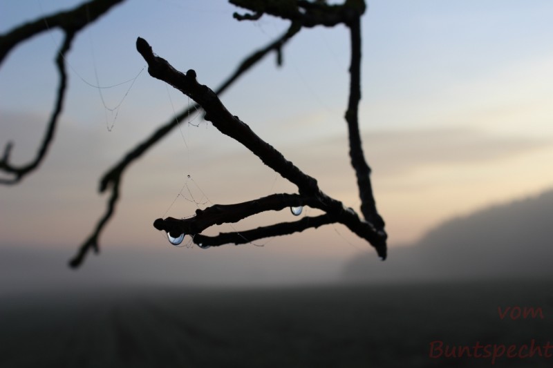 Bildla Nummära 038.jpg