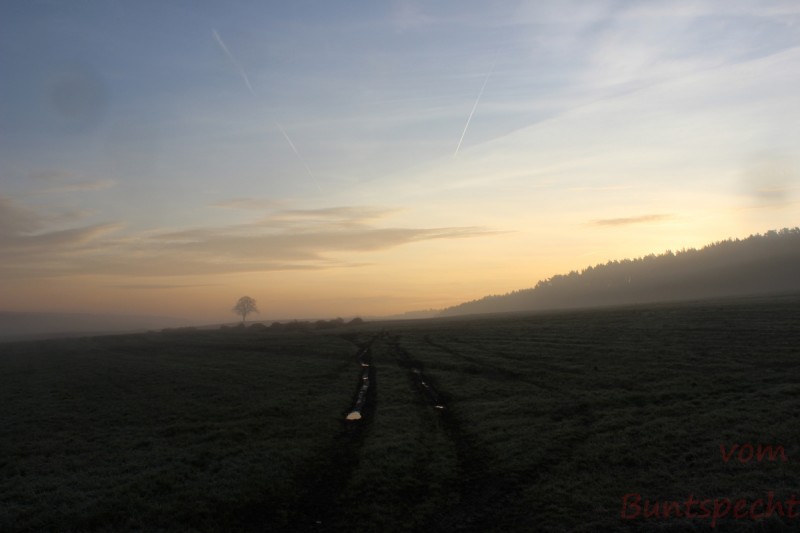 Bildla Nummära 039.jpg