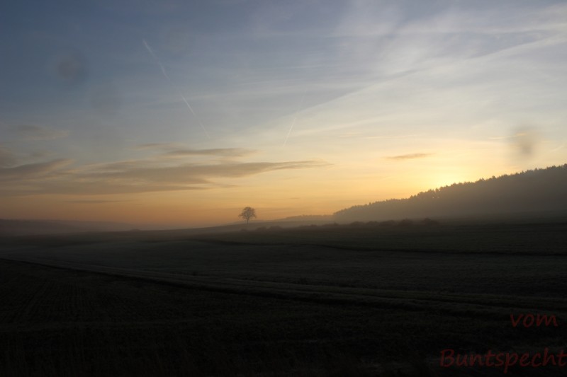 Bildla Nummära 040.jpg