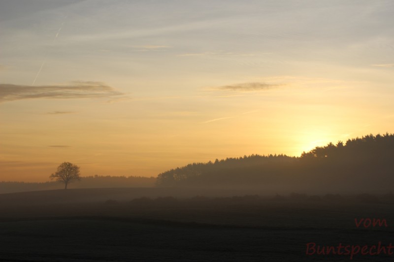 Bildla Nummära 041.jpg