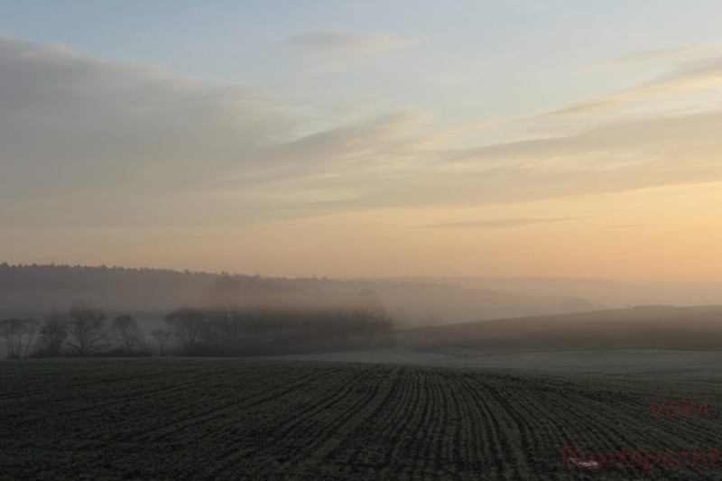 Bildla Nummära 042.jpg