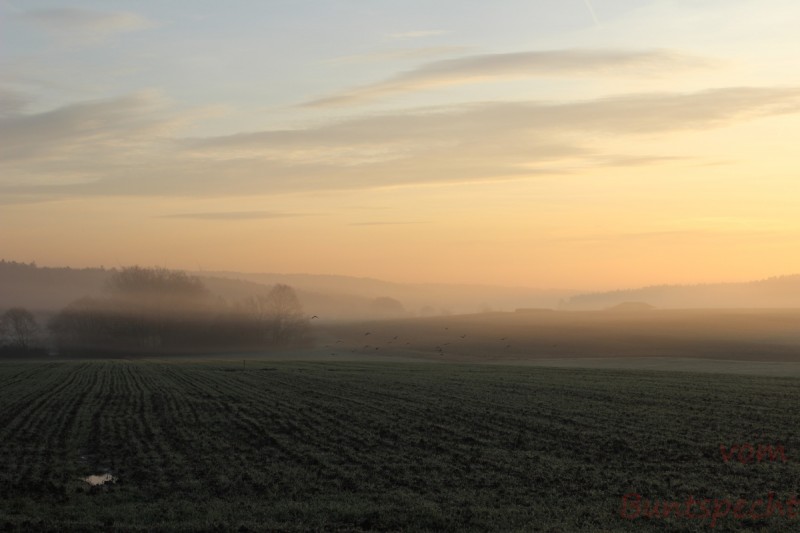 Bildla Nummära 044.jpg