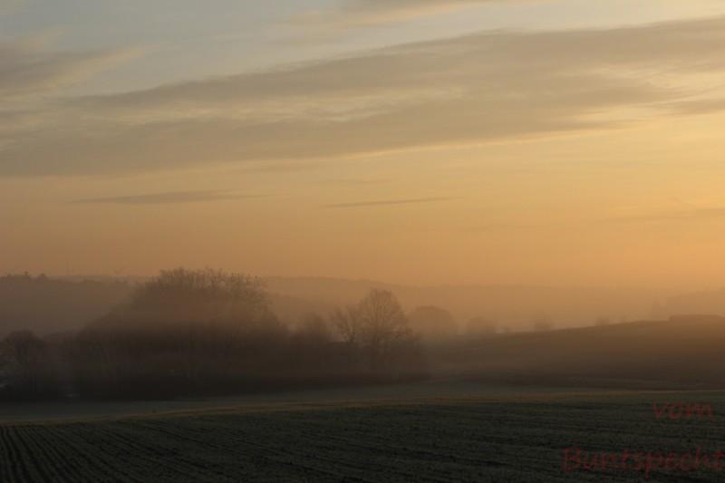 Bildla Nummära 045.jpg