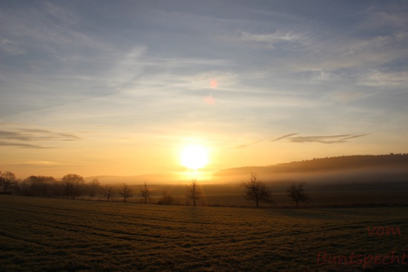 Bildla Nummära 046.jpg