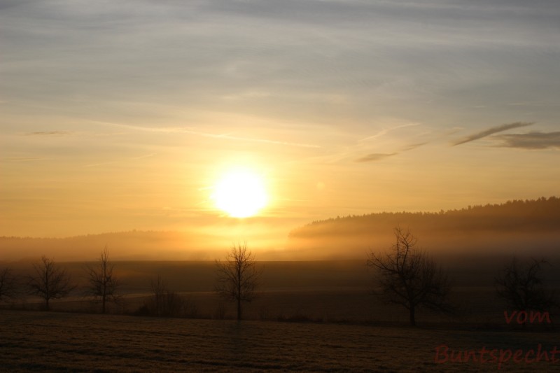 Bildla Nummära 047.jpg