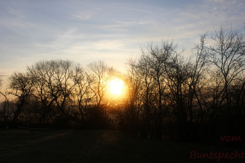 Bildla Nummära 048.jpg