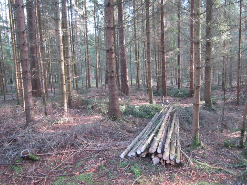 Bildla Nummära 001.jpg