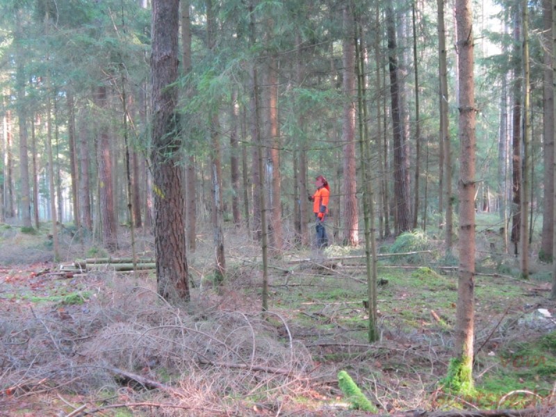 Bildla Nummära 002.jpg