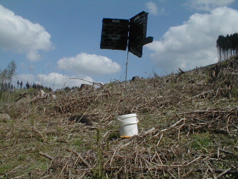 85. Geb. HDV, Käfer 038.jpg