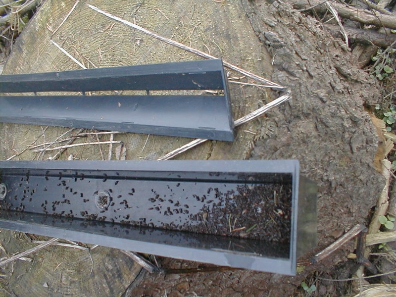 85. Geb. HDV, Käfer 027.jpg