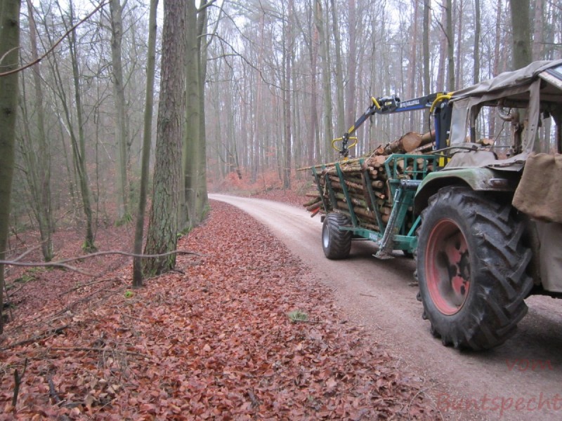 Bildla Nummära 008.jpg