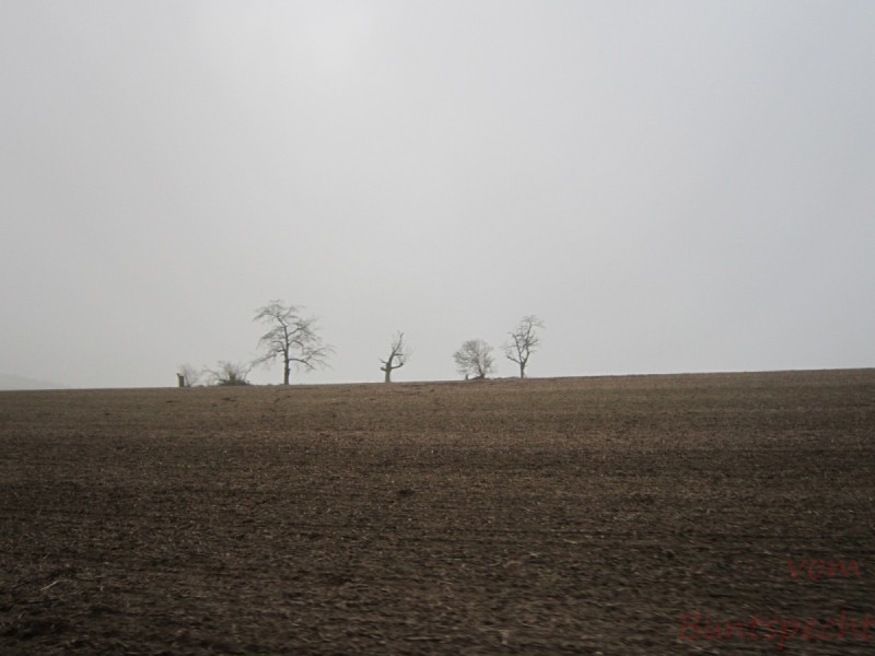 Bildla Nummära 011.jpg