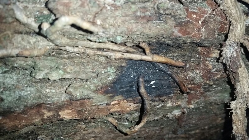 2015-12-30 17.34.47.jpg