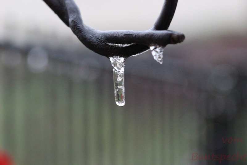 Bildla Nummära 001.jpg