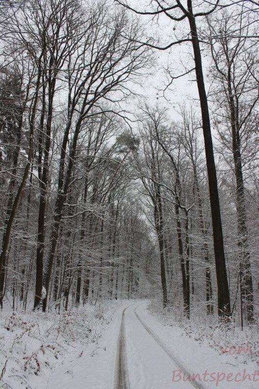 Bildla Nummära 001.jpg