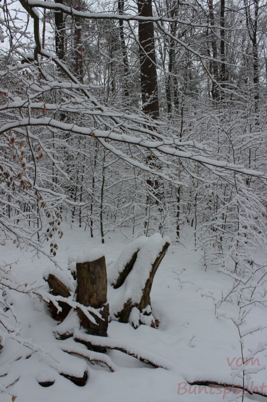 Bildla Nummära 004.jpg