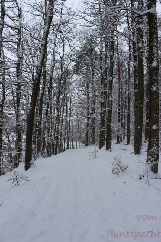 Bildla Nummära 006.jpg