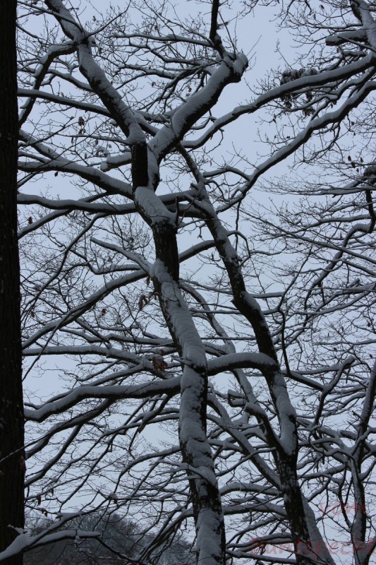 Bildla Nummära 007.jpg