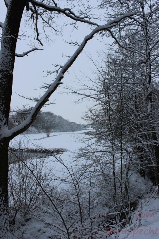 Bildla Nummära 008.jpg