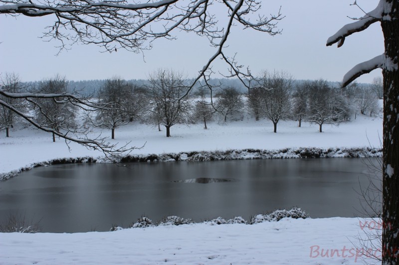 Bildla Nummära 009.jpg