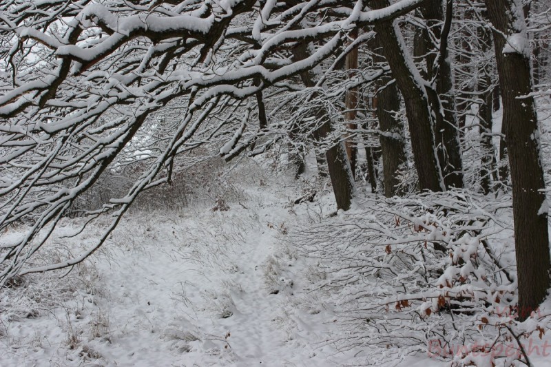 Bildla Nummära 011.jpg