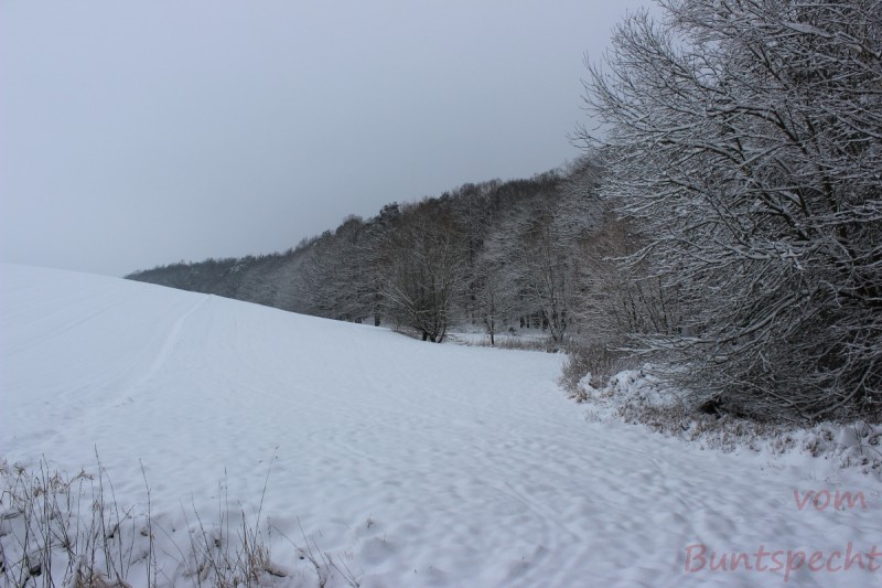 Bildla Nummära 012.jpg