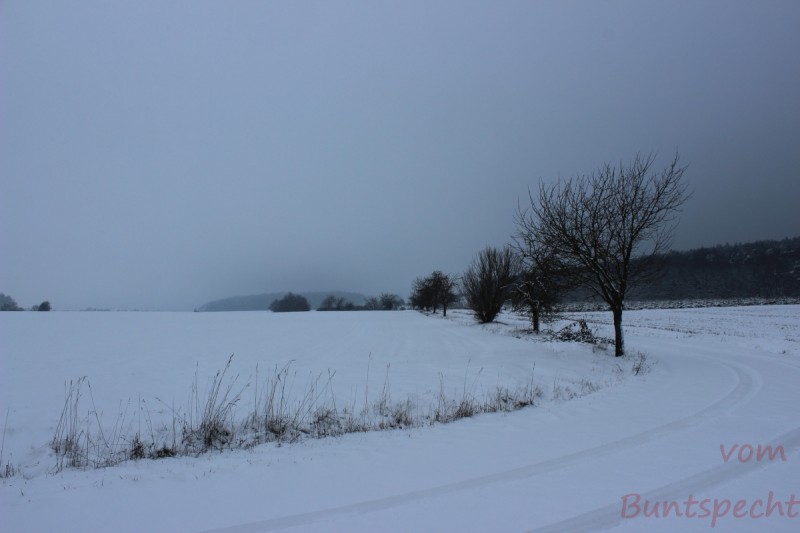 Bildla Nummära 013.jpg