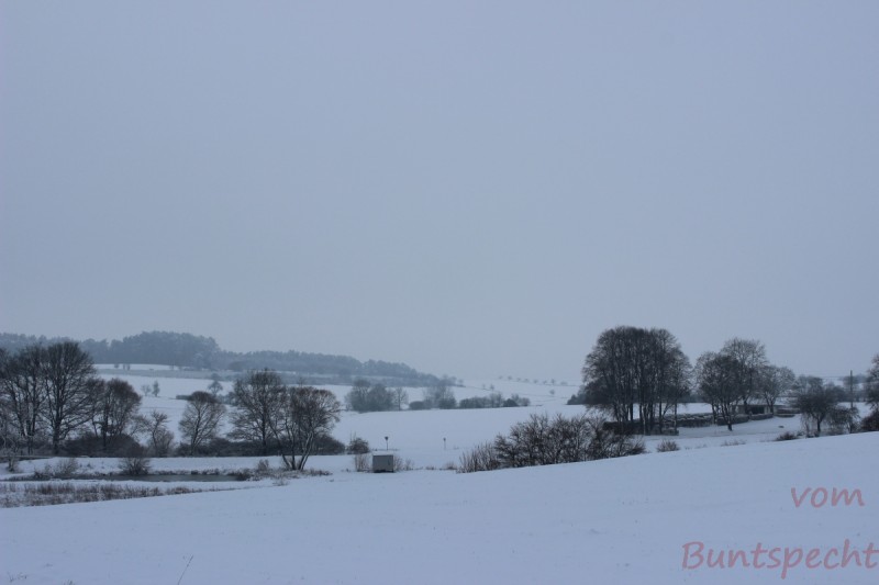 Bildla Nummära 014.jpg