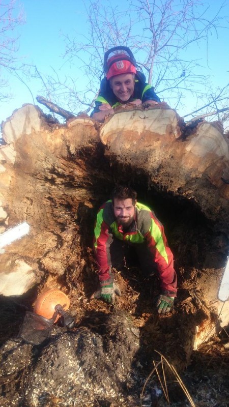 Spass mit Pappeln.jpg