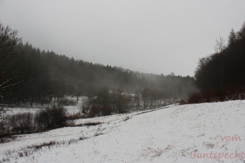 Bildla Nummära 006.jpg