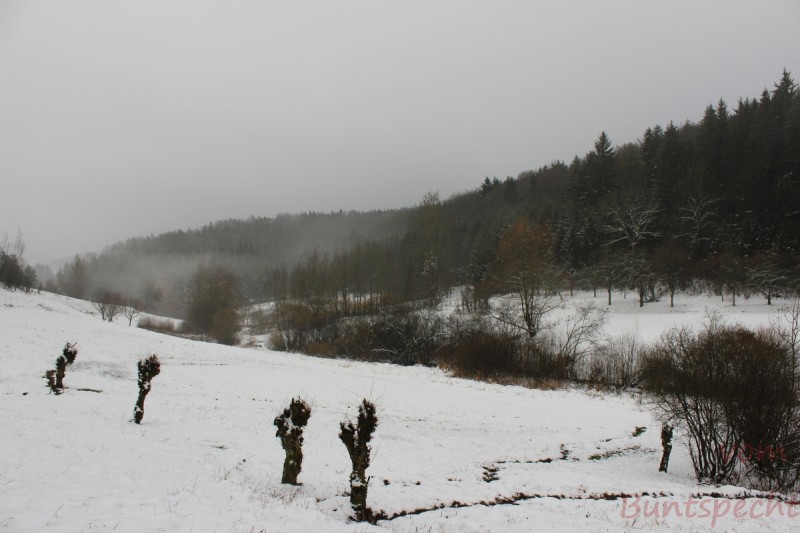 Bildla Nummära 007.jpg