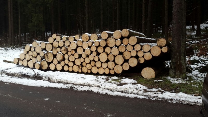 2016-01-09 15.28.12.jpg