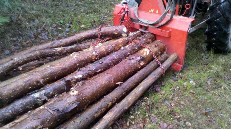 2015-12-11 Holz 1.jpg