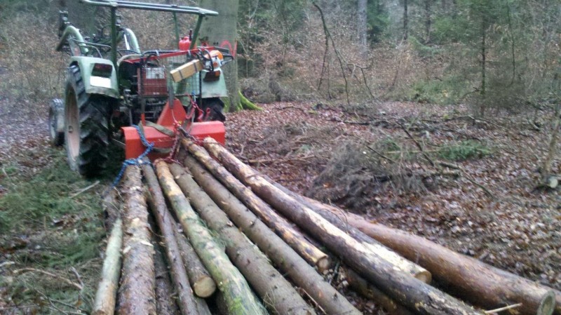 2015-12-11 Holz 2.jpg