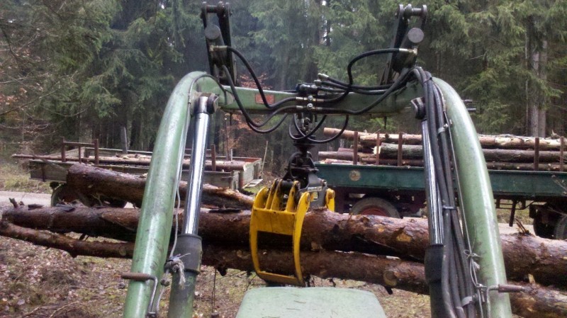 2015-12-11 Holz 3.jpg