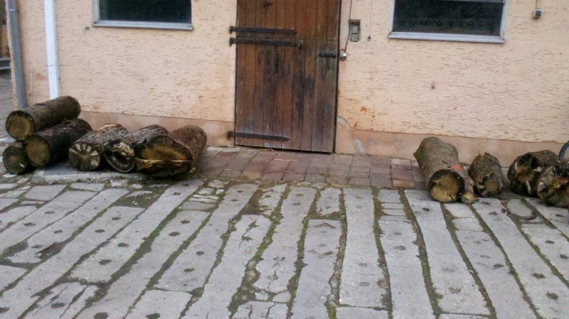 2015-12-11 Holz 6.jpg