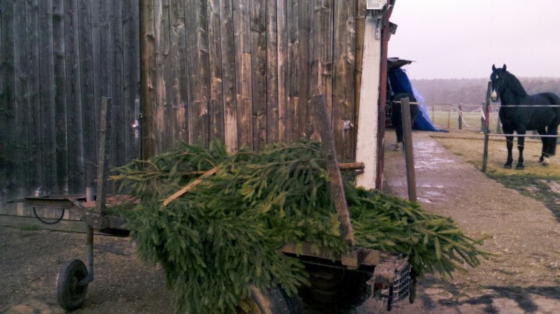 2015-12-11 Holz 7.jpg