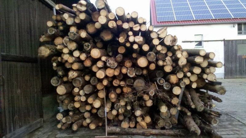 2015-12-11 Holz 11.jpg