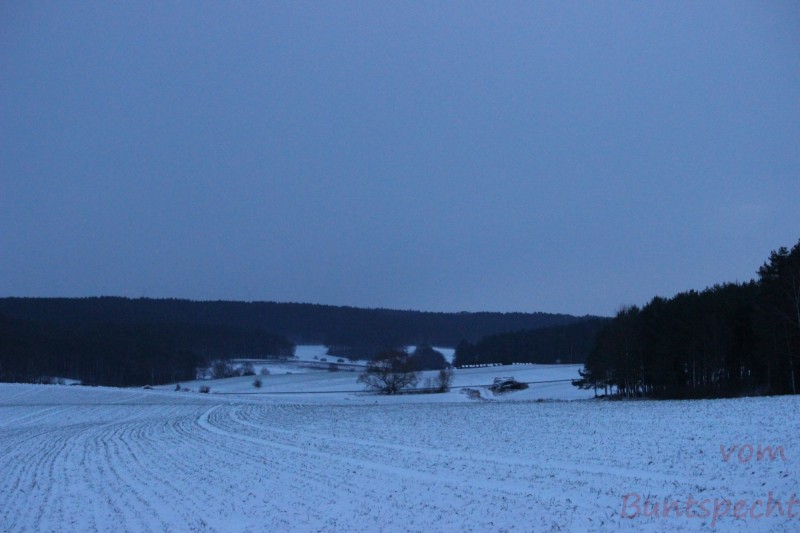 Bildla Nummära 003.jpg