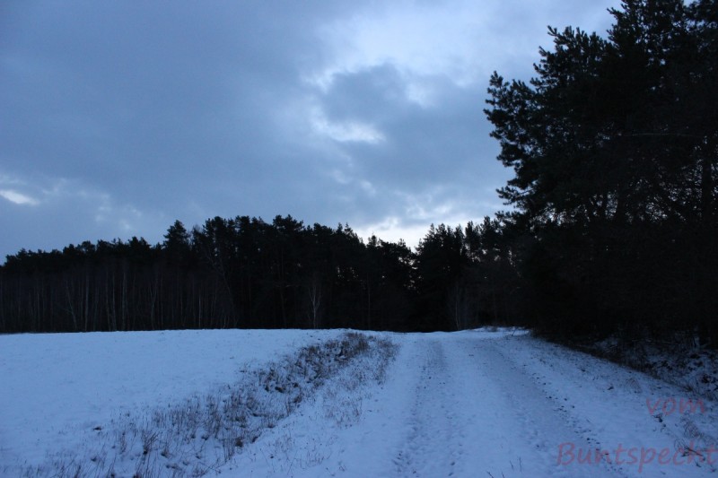 Bildla Nummära 004.jpg