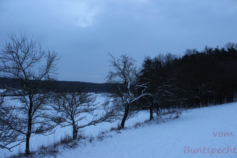 Bildla Nummära 006.jpg